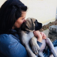 cropped-a7eaf166-788d-4075-9c61-c535f3976862